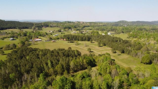 4820 COUNTY ROAD 22, Ashville, AL 35953