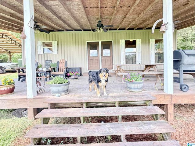 4820 COUNTY ROAD 22, Ashville, AL 35953
