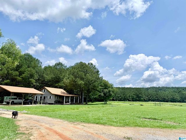 4820 COUNTY ROAD 22, Ashville, AL 35953