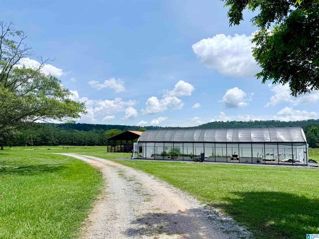 4820 COUNTY ROAD 22, Ashville, AL 35953
