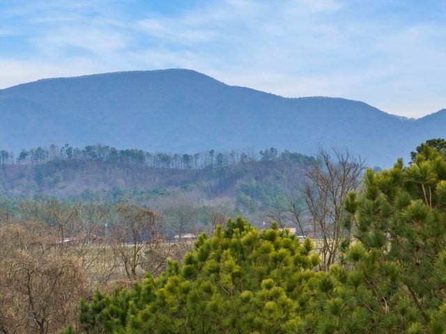 2097 McEntire Circle, Chatsworth, GA 30705