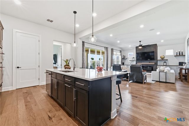 446 Skipping Cedar Street, San Marcos, TX 78666