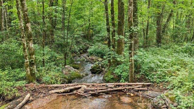 0000 Fisher Creek Road, Sylva, NC 28779