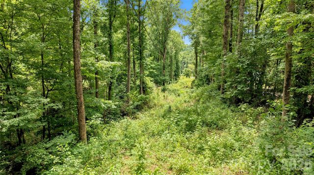 0000 Fisher Creek Road, Sylva, NC 28779