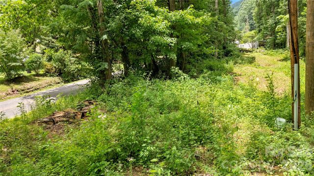 0000 Fisher Creek Road, Sylva, NC 28779