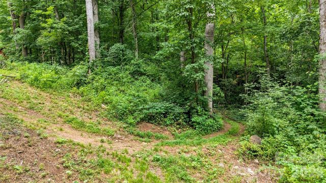 0000 Fisher Creek Road, Sylva, NC 28779