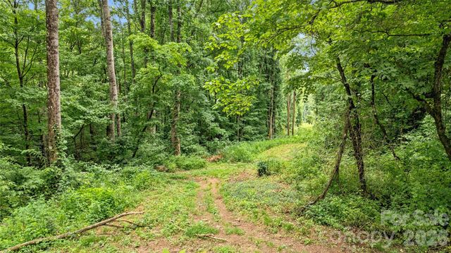 0000 Fisher Creek Road, Sylva, NC 28779