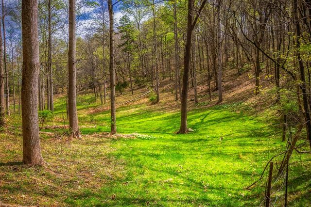 0000 Gothard Street, Sale Creek, TN 37373
