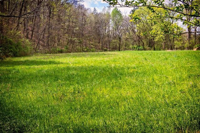 0000 Gothard Street, Sale Creek, TN 37373