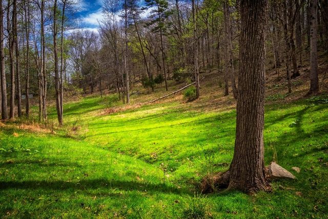 0000 Gothard Street, Sale Creek, TN 37373