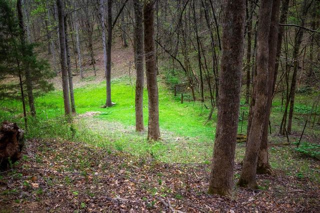 0000 Gothard Street, Sale Creek, TN 37373