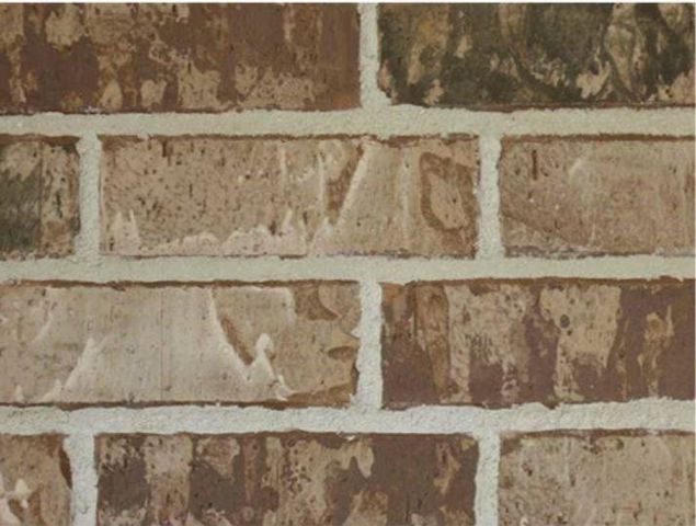 26143 Treetop Terrace Lane, Montgomery, TX 77316