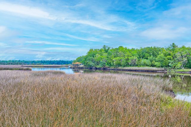 4385 Ten Shillings Way, Ravenel, SC 29470