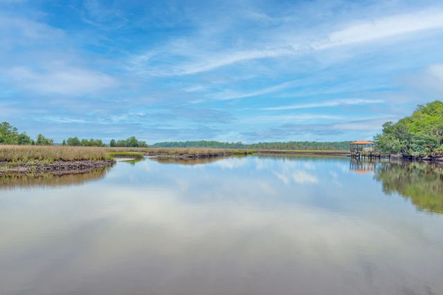 4385 Ten Shillings Way, Ravenel, SC 29470