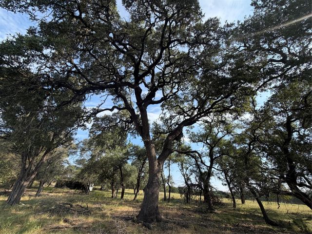 1911 Wayside DR, Wimberley, TX 78676