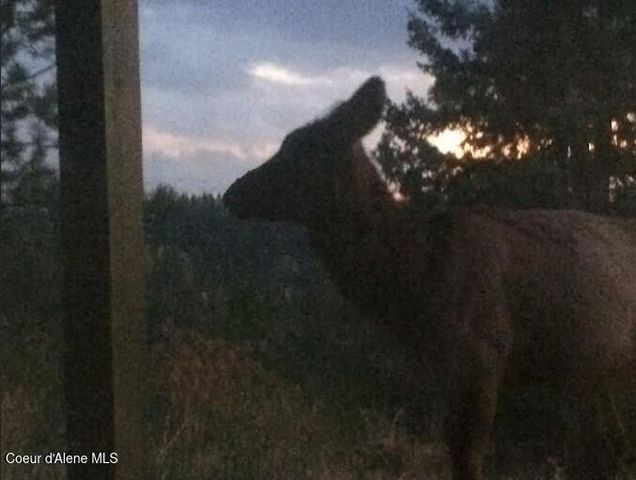 21160 N Corbin Hill Rd., Hayden, ID 83835