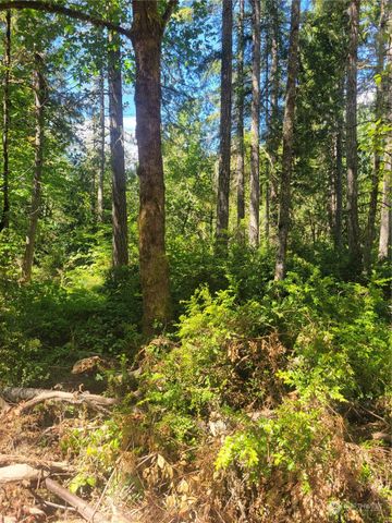 900 930 E Wilson Way, Grapeview, WA 98546