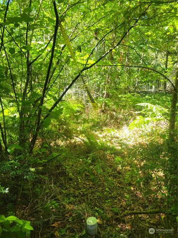 900 930 E Wilson Way, Grapeview, WA 98546