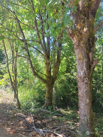 900 930 E Wilson Way, Grapeview, WA 98546