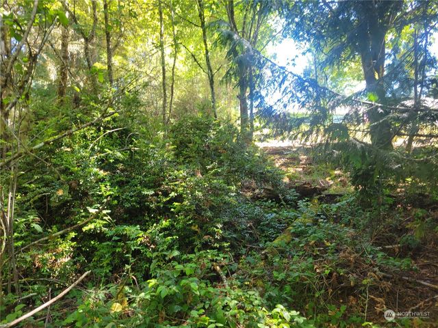 900 930 E Wilson Way, Grapeview, WA 98546