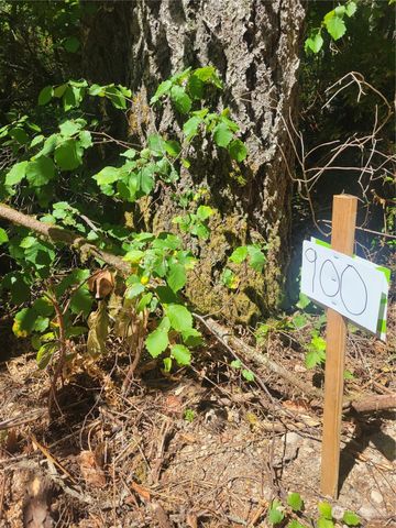 900 930 E Wilson Way, Grapeview, WA 98546