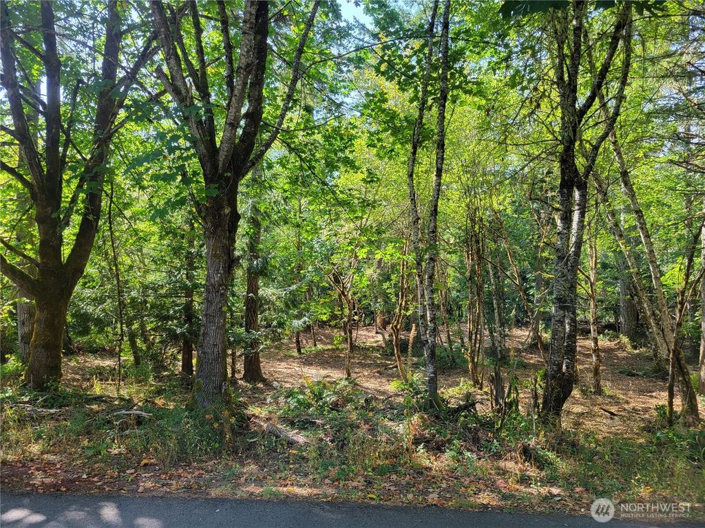 900 930 E Wilson Way, Grapeview, WA 98546