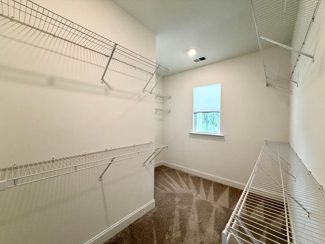 251 Claret Cup Way, Charleston, SC 29414