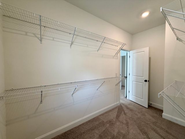 251 Claret Cup Way, Charleston, SC 29414