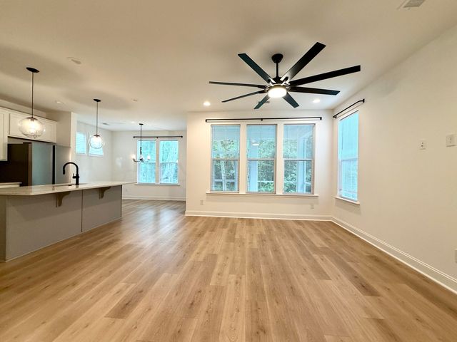 251 Claret Cup Way, Charleston, SC 29414