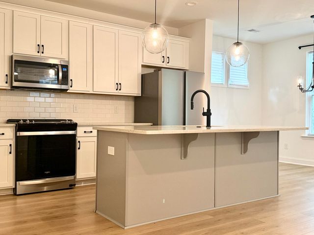 251 Claret Cup Way, Charleston, SC 29414