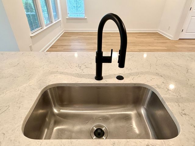 251 Claret Cup Way, Charleston, SC 29414