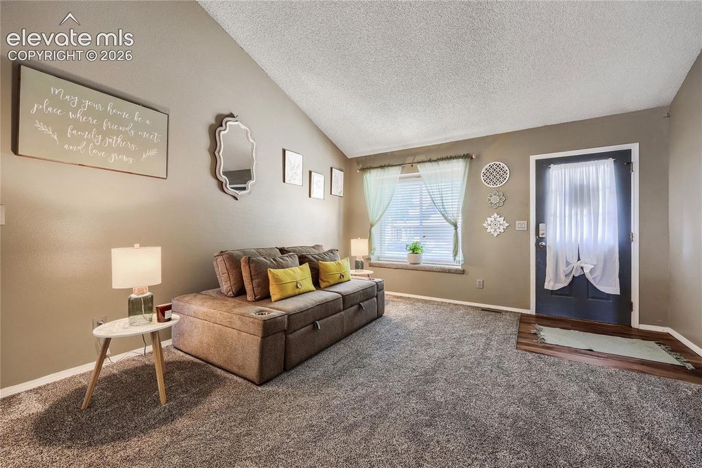 1135 Greenbrier Drive, Colorado Springs, CO 80916 — photo 4