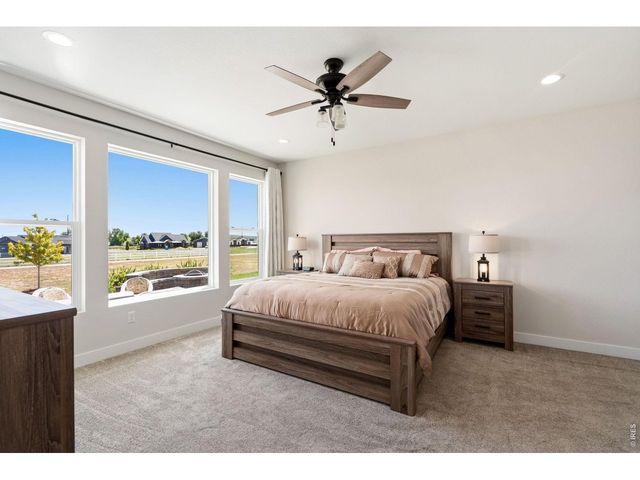 9251 Meadow Farms Dr, Milliken, CO 80543