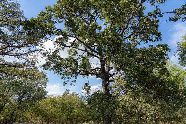 NW VZ County Road 3409, Wills Point, TX 75169