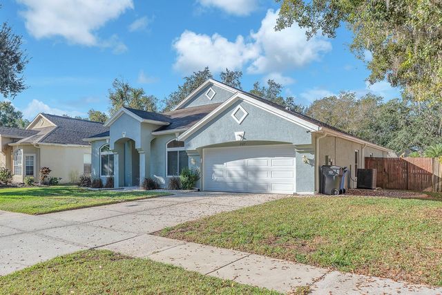 3729 HOLLOW WOOD DRIVE, Valrico, FL 33596