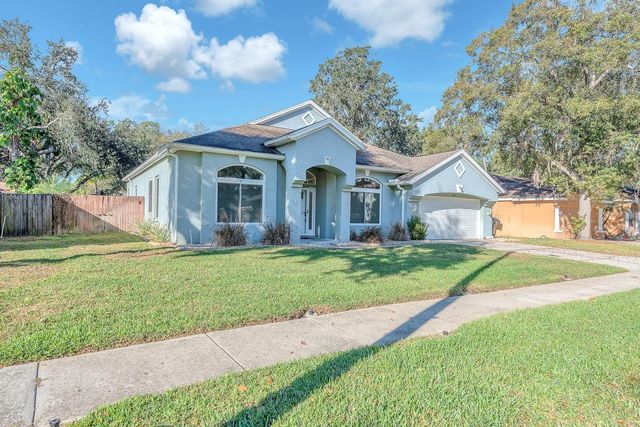 3729 HOLLOW WOOD DRIVE, Valrico, FL 33596