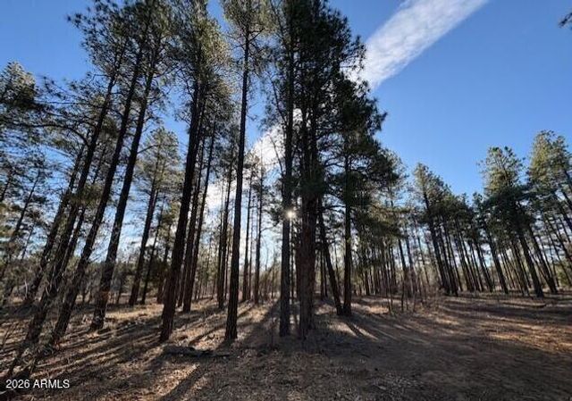 2360 Narrow Leaf Lane, Show Low, AZ 85901