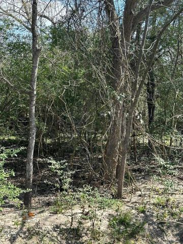 0 Mustang Loop Lane, Madisonville, TX 77864