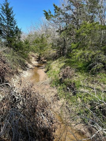 0 Mustang Loop Lane, Madisonville, TX 77864