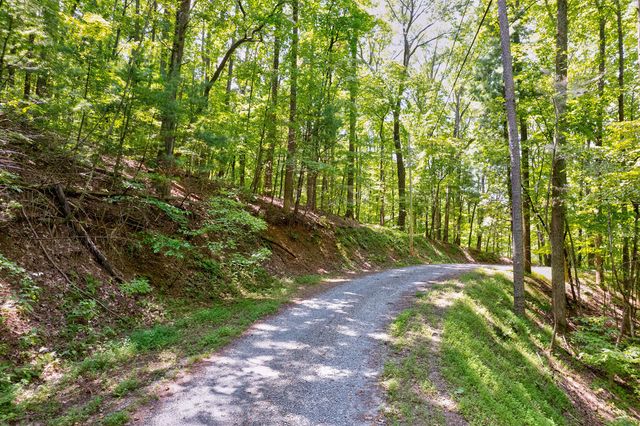 LT J351 Mountain View Court, Ellijay, GA 30536