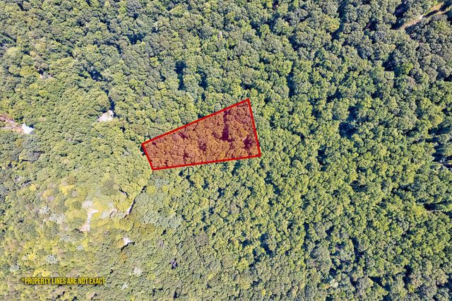 LT J351 Mountain View Court, Ellijay, GA 30536