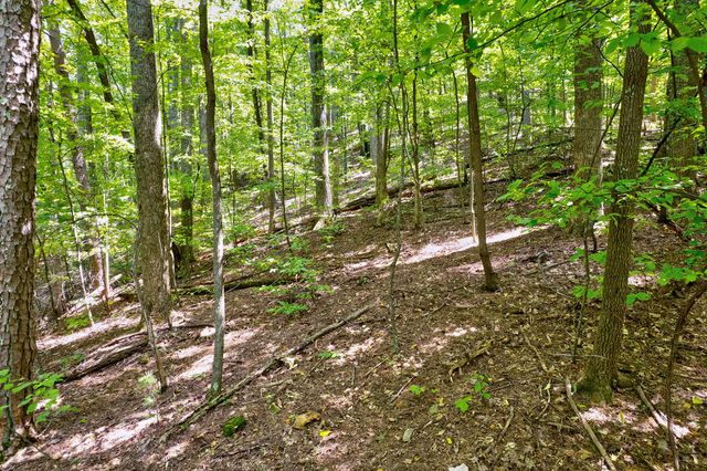 LT J351 Mountain View Court, Ellijay, GA 30536