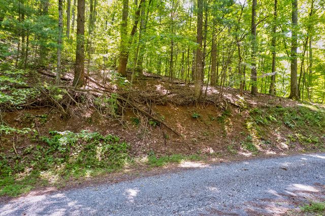 LT J351 Mountain View Court, Ellijay, GA 30536