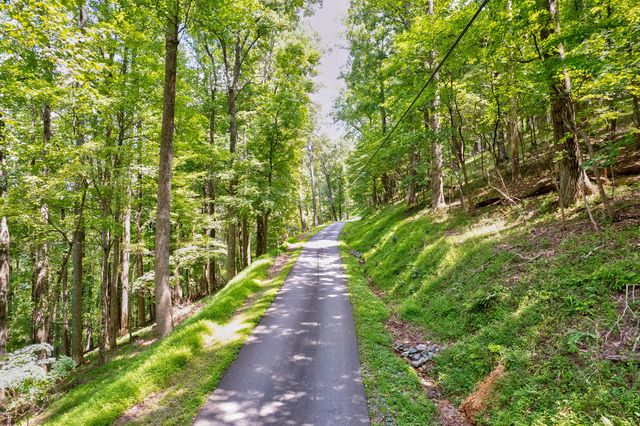 LT J351 Mountain View Court, Ellijay, GA 30536