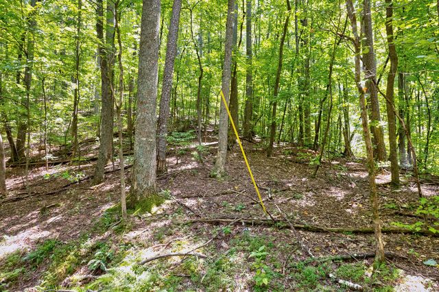LT J351 Mountain View Court, Ellijay, GA 30536