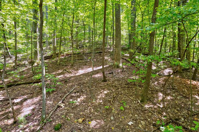 LT J351 Mountain View Court, Ellijay, GA 30536