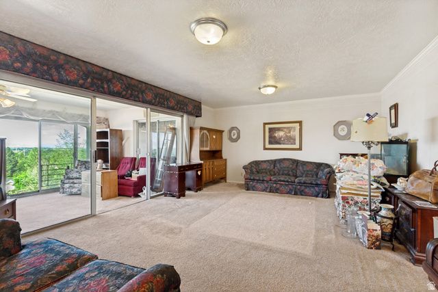 1169 N GRAND AVE, Provo, UT 84604