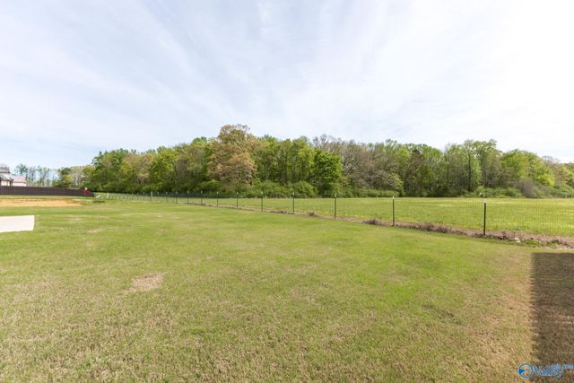 16082 Darby Drive, Athens, AL 35613