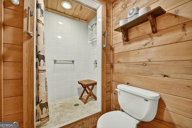 430 Chestnut Ridge 10, Blue Ridge, GA 30513