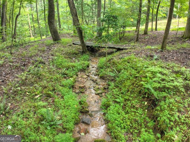 430 Chestnut Ridge 10, Blue Ridge, GA 30513